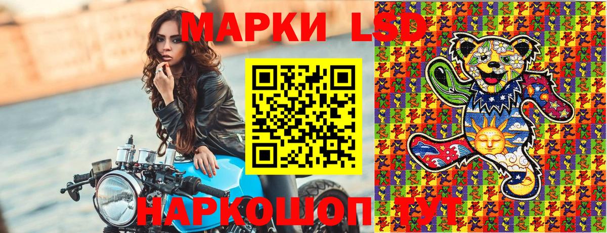 Гашиш Курчалой