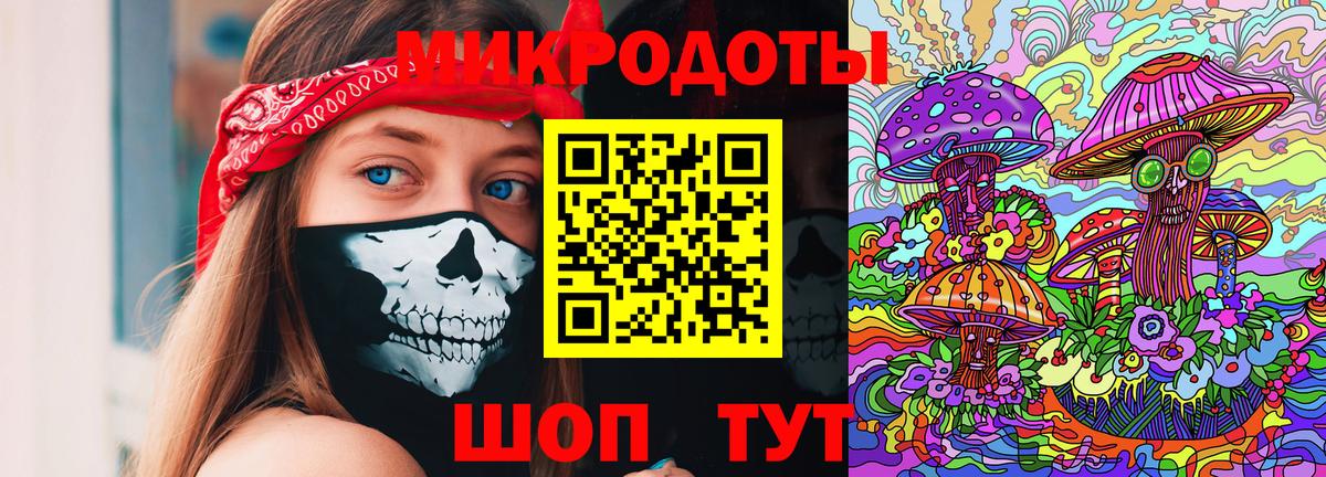 Псилоцибиновые грибы Psilocybe Курчалой